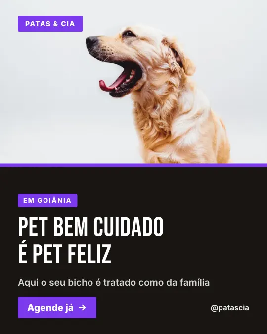 Exemplo de post para pet shop