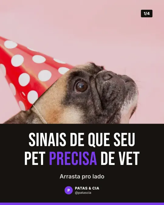 Exemplo de carrossel para pet shop: Sinais de que seu pet precisa de vet