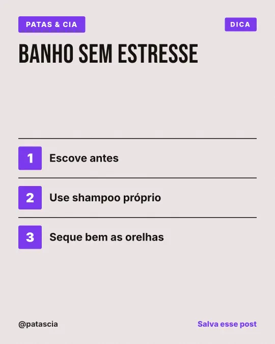 Exemplo de post para pet shop: Banho sem estresse